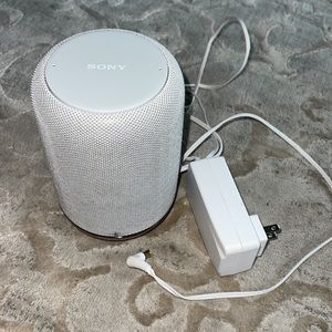 Sony Google Speaker